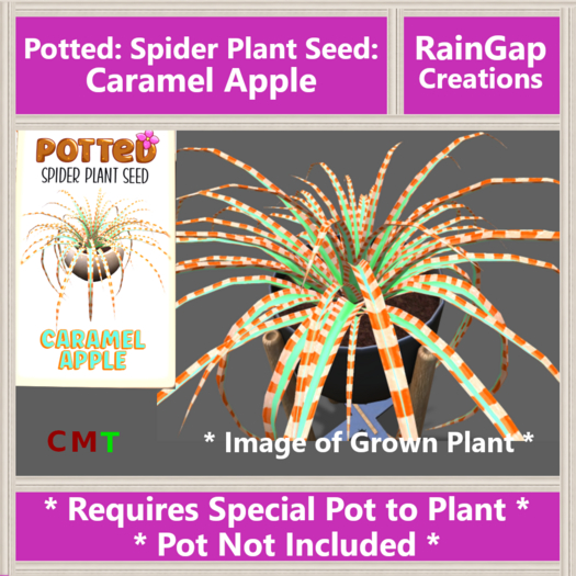 Second Life Marketplace Potted Spider Plant Seed Caramel Apple